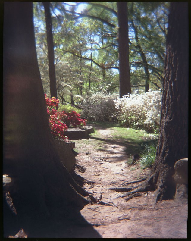 04012007-WP-15
