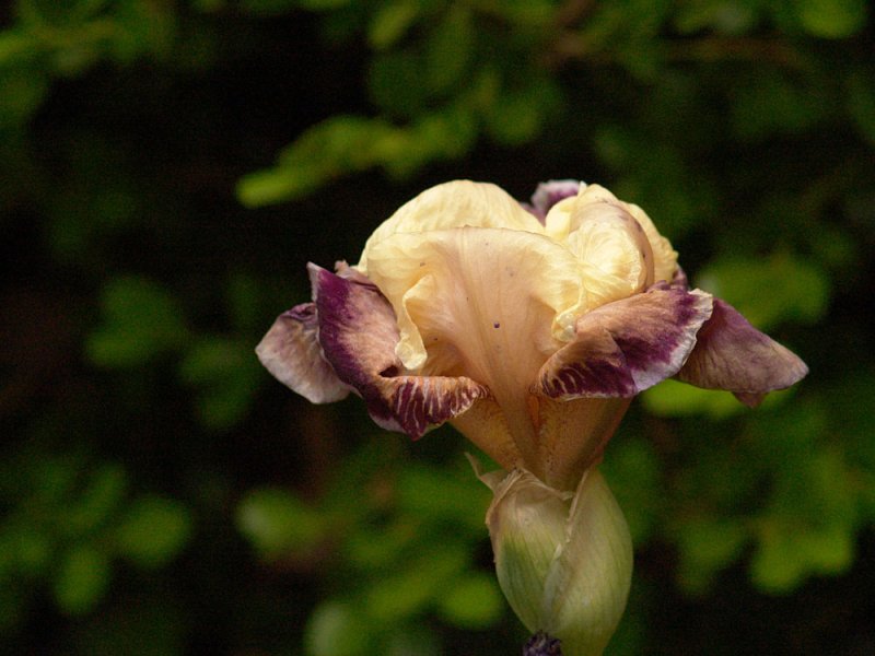 April 24 2007