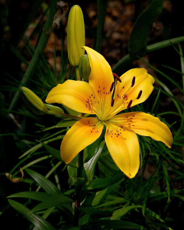 May 20 2007