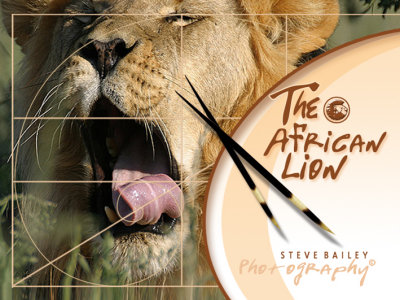 The African Lion