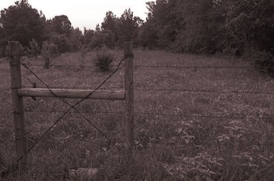 Fence Near Our House