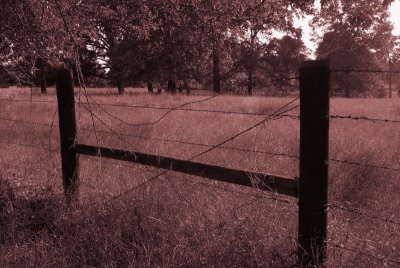 Fence Near Our House, Sepia