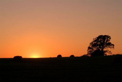 Rural Areas of East Texas, 9-20-2007