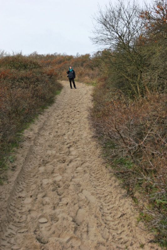 Vers la Baie de Somme sur le chemin des bergers des prs sals