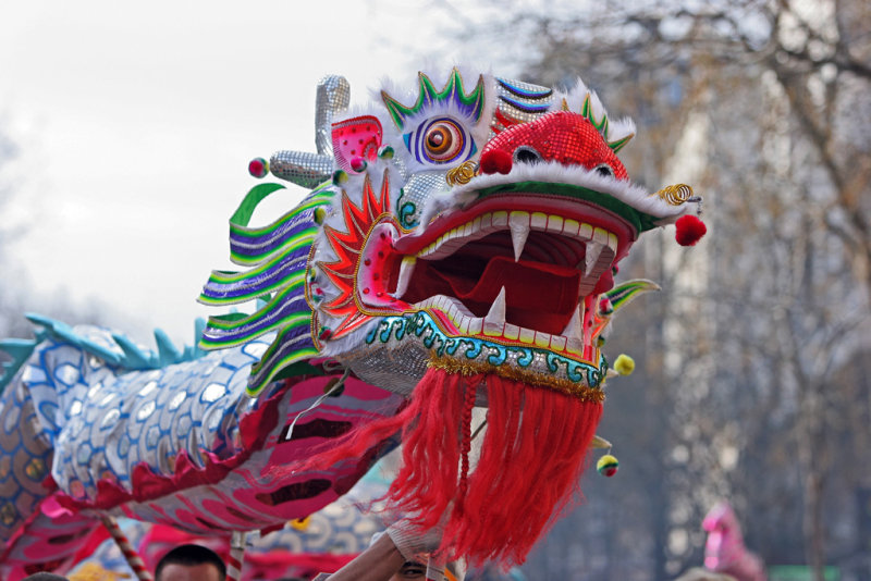 Dfil du nouvel an Chinois 2007, lanne du cochon