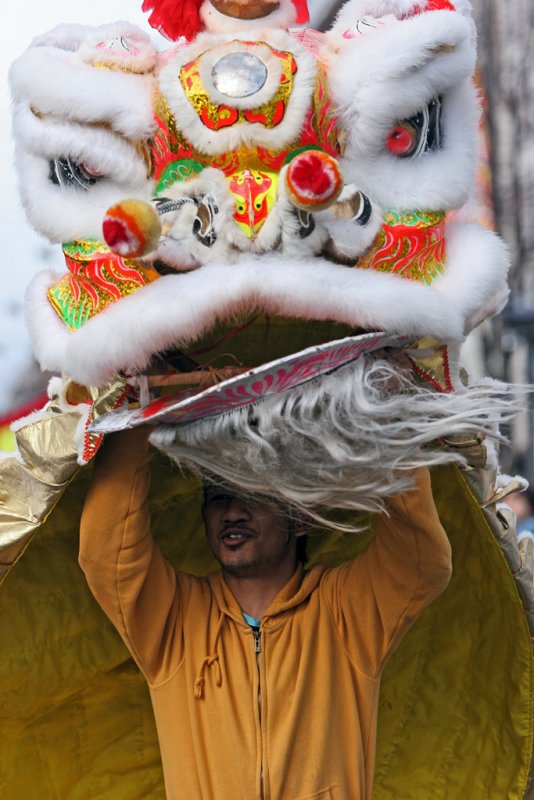 Dfil du nouvel an Chinois 2007, lanne du cochon