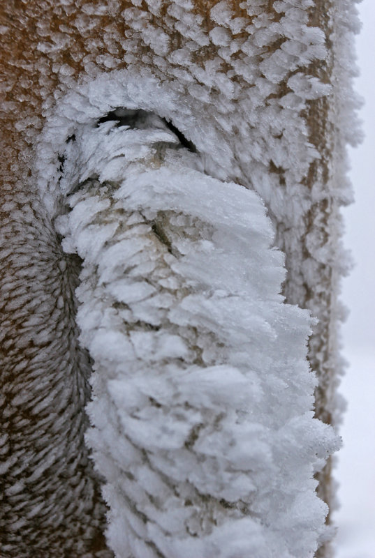 Fleurs de glace au sommet du puy Pariou