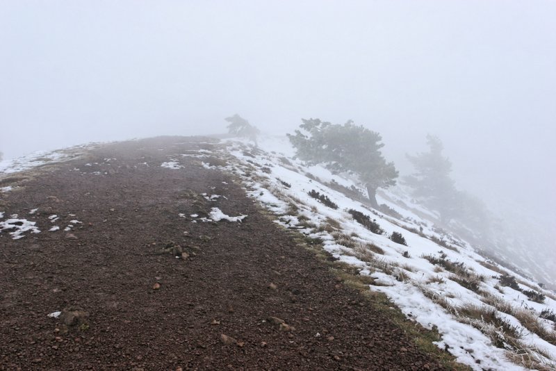 Au sommet du puy Pariou