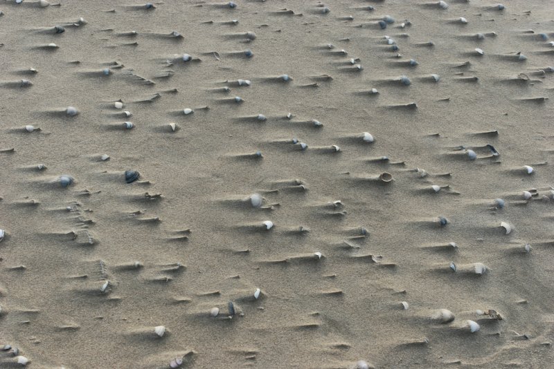 Sur la plage du Touquet