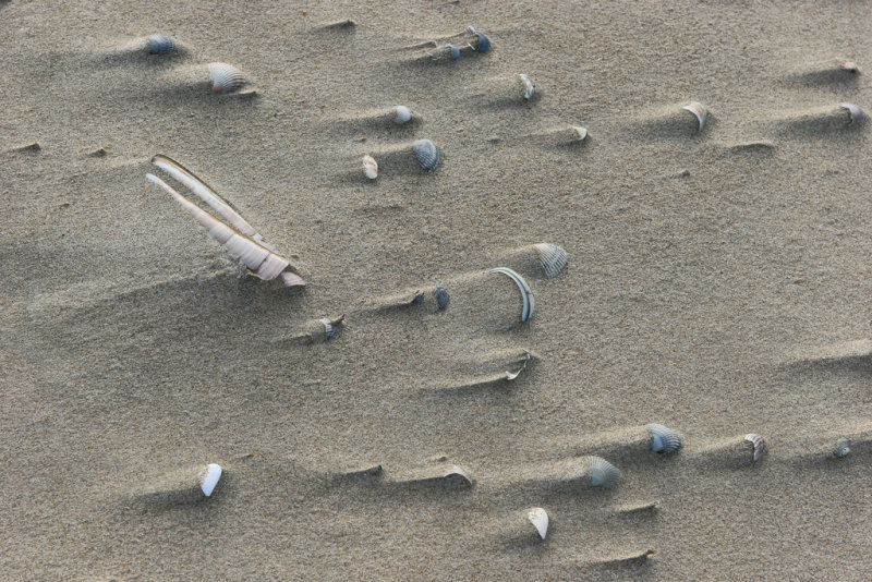 Sur la plage du Touquet