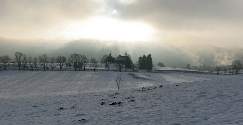 Balade autour de Besse-en-Chandesse
