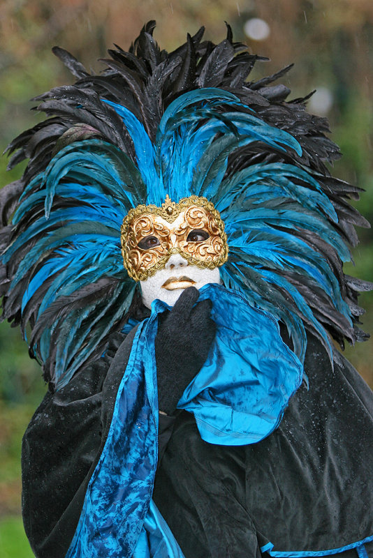 Carnaval vnitien de Paris