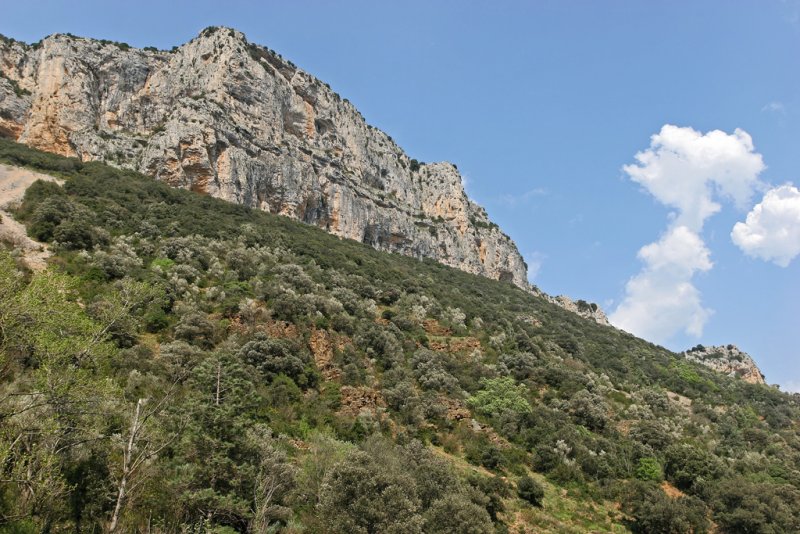 Les gorges de l'Infernet, prs de Saint-Guilhem-le-Dsert