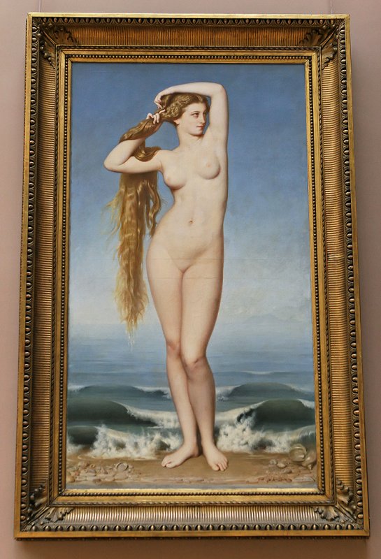 Visite du muse des beaux arts de la ville de Lille - La naissance de Vnus