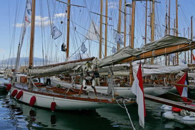 Tuiga aux Voiles de Saint-Tropez 2006