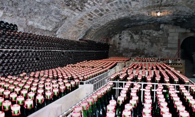 Dans le vignoble champenois de l'Aube