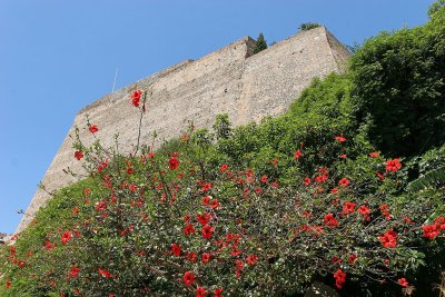 A la dcouverte de la ville de Calvi et de sa citadelle