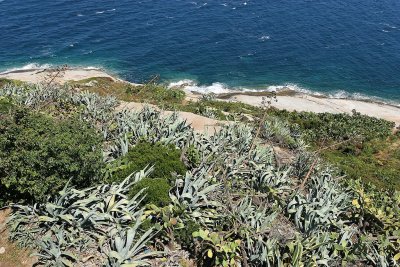 A la dcouverte de la ville de Calvi et de sa citadelle