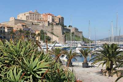 A la dcouverte de la ville de Calvi et de sa citadelle