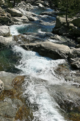 Les gorges de la Restonica