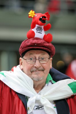 Tournoi des VI Nations - Match France Pays de Galles le 24-02-07