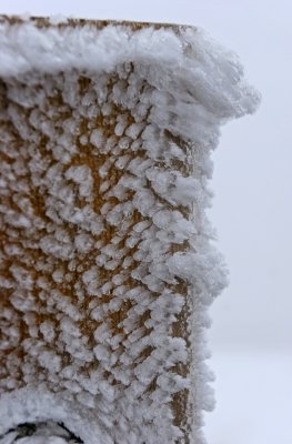 Fleurs de glace au sommet du puy Pariou