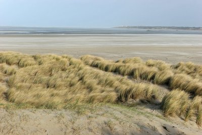 Baie de la Canche