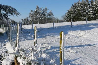 La rgion des Coteaux du Layon sous la neige en mars 2006 (Anjou)