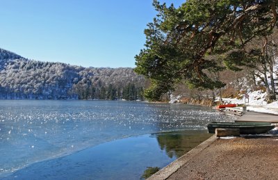 Promenade au bord du lac Pavin qui occupe le cratère d'un volcan endormi