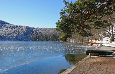 Promenade au bord du lac Pavin qui occupe le cratre dun volcan endormi