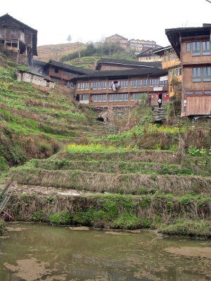 Dcouverte de L'chine du Dragon prs de Guilin, une rgion de rizires escapes