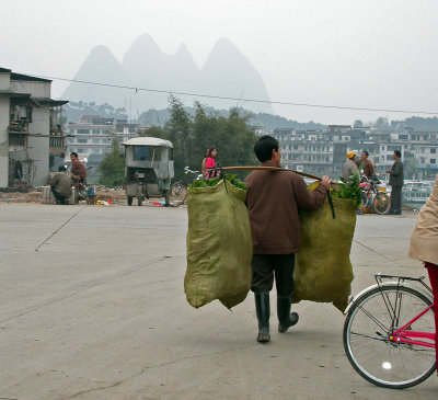 Balade  vlo dans la campagne chinoise autour de Yangshuo, et dcouverte d'un march typique