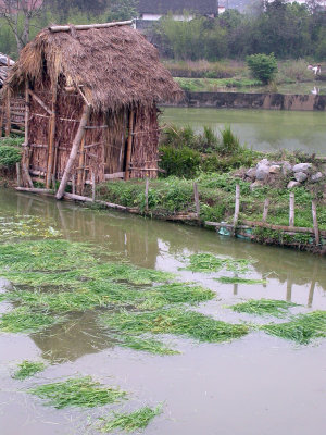 Balade  vlo dans la campagne chinoise autour de Yangshuo, et dcouverte d'un march typique