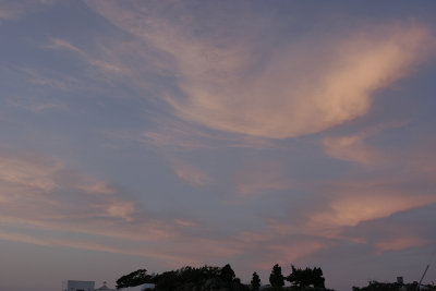 Pbase _MG_7075.jpg