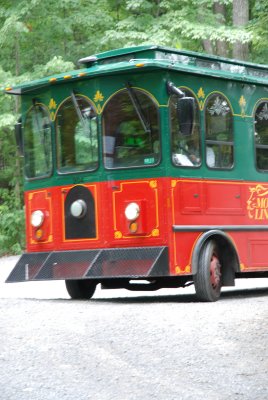 g6/09/528409/3/81147905.8Ob8hoRF.jpg