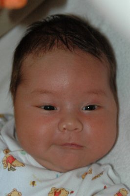 1 month old