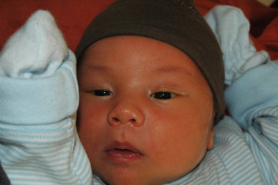 2 weeks old