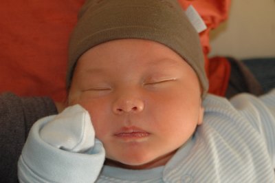 2 weeks old