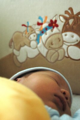 2 weeks old