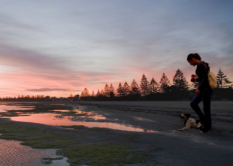 Walkin the Dog