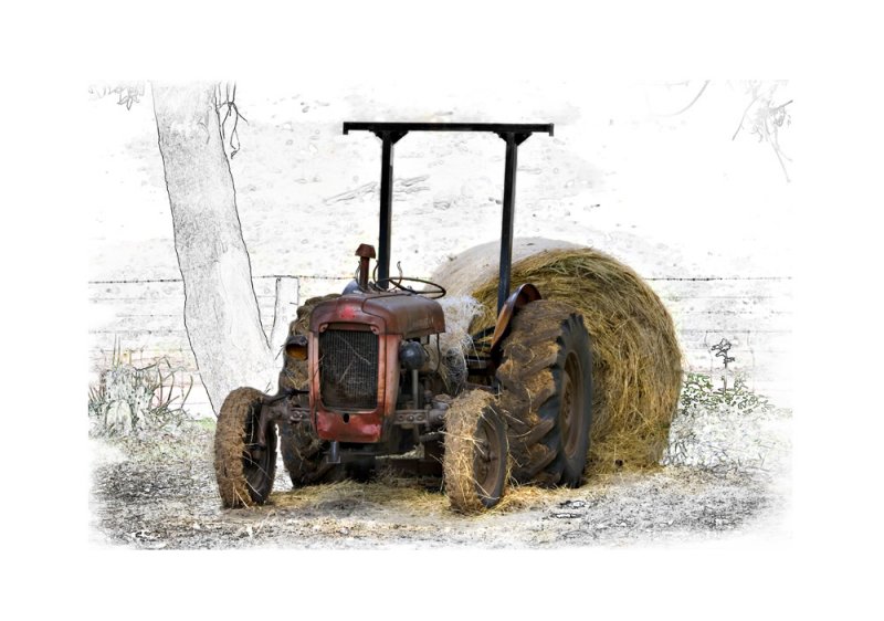 Fergie Tractor