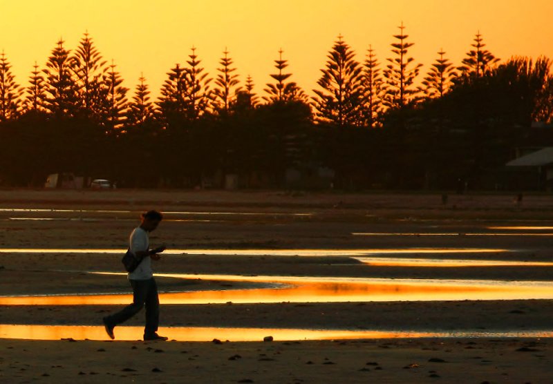 Beach Walker_0889.jpg