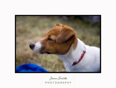 IMG_8507-1.jpg
