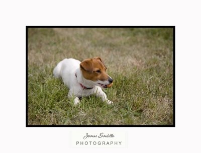 IMG_8606-1.jpg