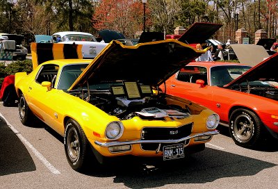 IMG_9063.JPG