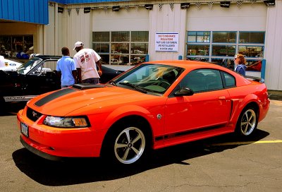 2004  Ford Mustang Mach 1 40th Anniversary Edition 428 Cobra Jet Engine