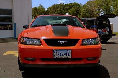2004  Ford Mustang Mach 1 40th Anniversary Edition 428 Cobra Jet Engine