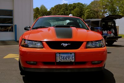 2004  Ford Mustang Mach 1 40th Anniversary Edition 428 Cobra Jet Engine
