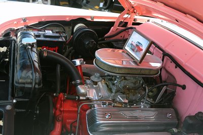 IMG_9931.JPG