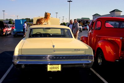 g6/09/553709/3/86407429.qVx29e6R.jpg